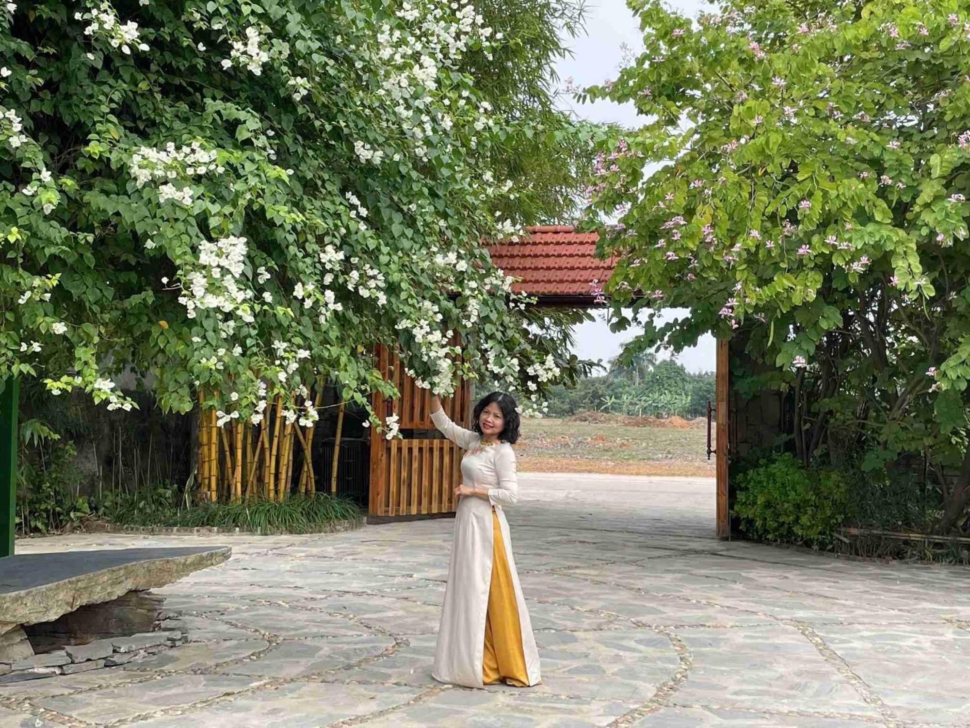 Апартаменты Ninh Binh Eco Garden Экстерьер фото